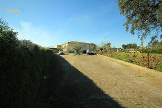 Chalet en venta en Las Vaguadas - Urb. del Sur en Badajoz