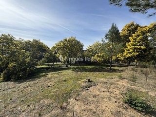 Masía en venta en Mas Mora - Sant Daniel en Tordera