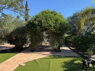 Chalet en venta en La Alcayna en Molina de Segura