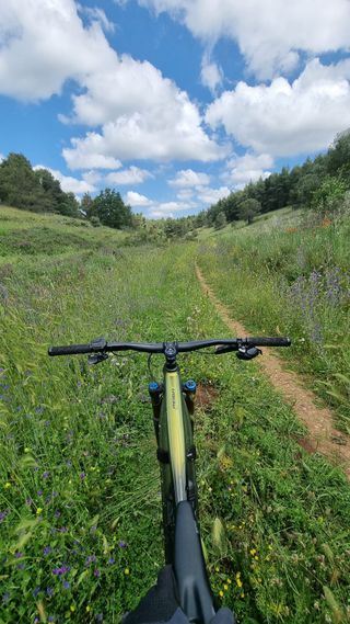 Giant Reign E+ 0 Pro 625Wh + Extender 250Wh