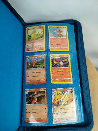 Lote Pokémon: Carpetas, Latas y Cartas