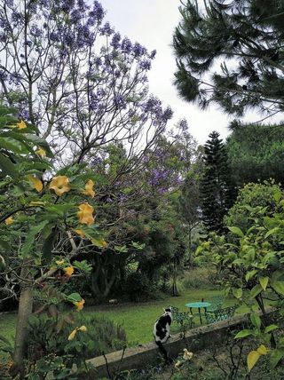 Chalet en venta en Barrios (Los)