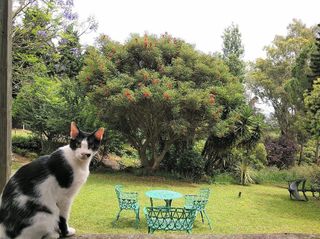 Chalet en venta en Barrios (Los)