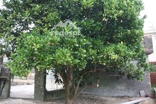 Casa en venta en Tui