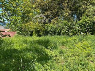 Chalet en venta en Cañiza (A)