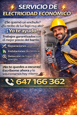 Electricidad Económico