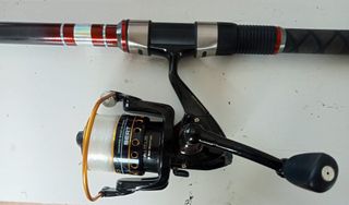 Caña de pescar 3.50m