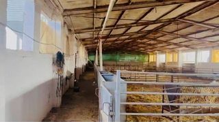 Nave industrial en venta en Quintanar de la Orden