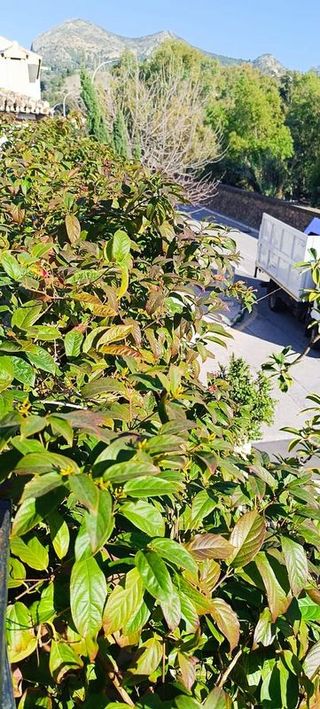 Casa pareada en venta en Pedregalejo en Málaga