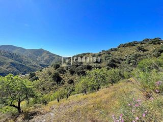 Casa adosada en alquiler en Residencial Jardín Botánico en Málaga