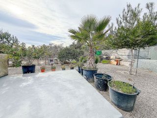 Casa rural en venta en Carrús Oest - El Toscar en Elche