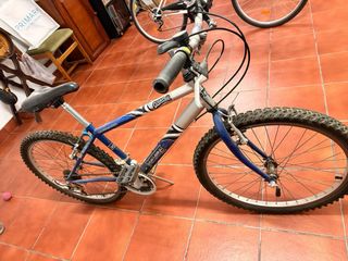 Lote 2 Bicicletas Ciudad (Buen Estado)