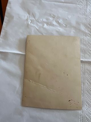 Fotografía niña caballo cartón 1900