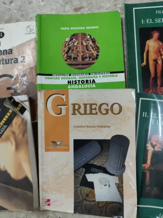 Lote de libros instituto