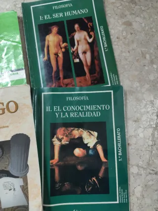 Lote de libros instituto