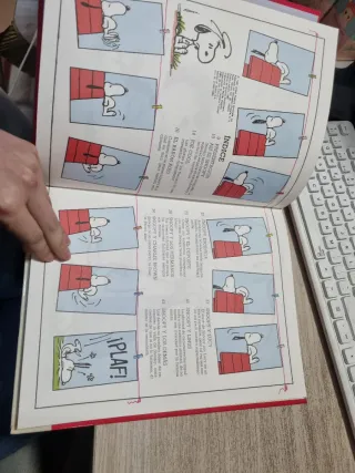 Snoopy de escritor a piloto