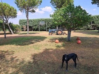 Chalet en venta en Vellés (La)