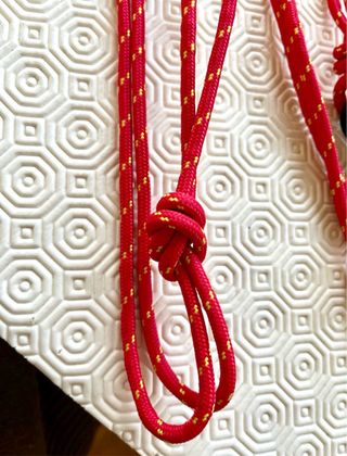 Guinzaglio rosso con moschettone