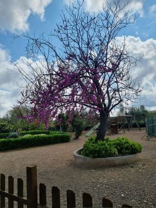 Casa rural en venta en Llevant en Reus