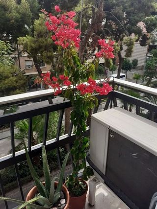 Piso en venta en Zona Avenida al Vedat en Torrent