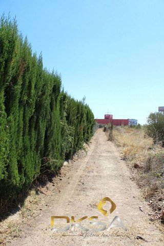 Chalet en venta en El Pilar en Villarreal