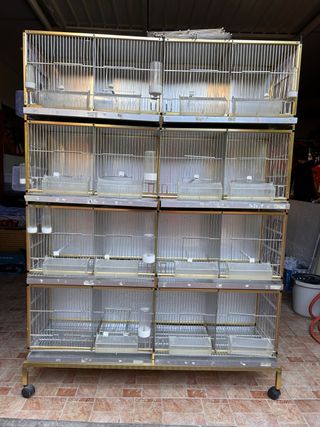 Módulo de jaulas para pájaros dorado