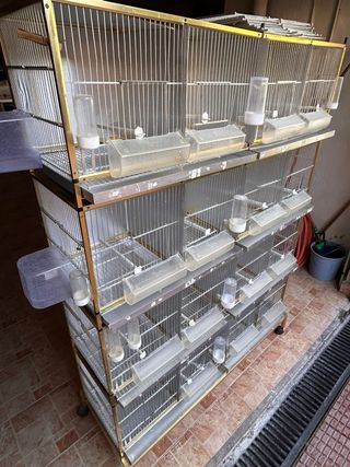 Módulo de jaulas para pájaros dorado