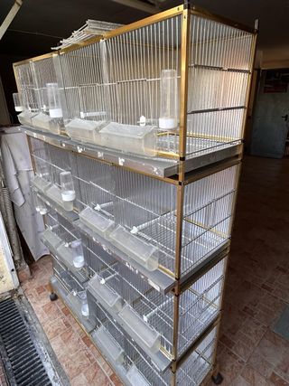 Módulo de jaulas para pájaros dorado
