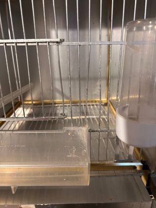 Módulo de jaulas para pájaros dorado