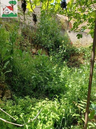 Chalet en venta en Peñafiel