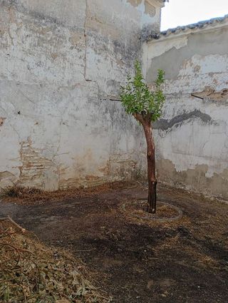 Casa adosada en venta en Fernán-Núñez