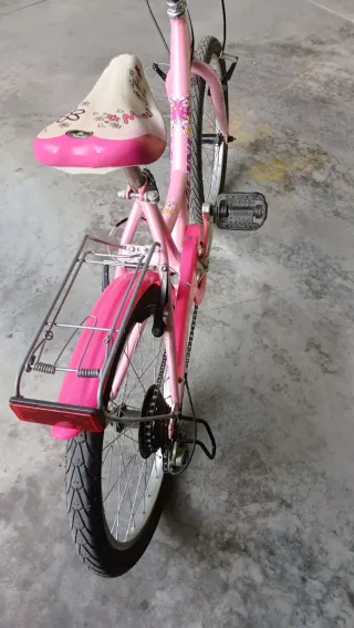 Bicicletta bambina Vicini 20" rosa