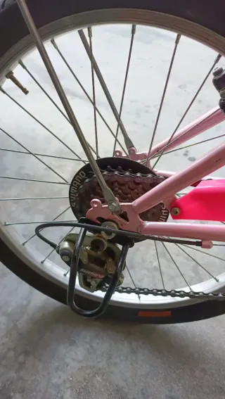 Bicicletta bambina Vicini 20" rosa