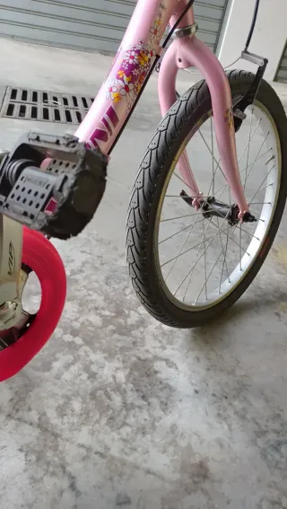 Bicicletta bambina Vicini 20" rosa