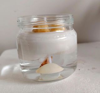 Candela con conchiglie in vetro