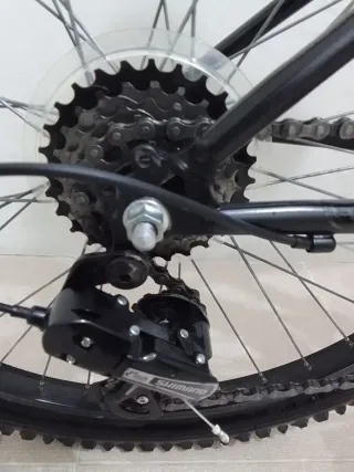 Bicicleta niño bitwin rochrider24 pulgadas chula