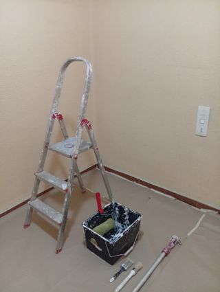 PINTOR A BUEN PRECIO