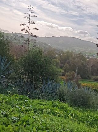 Casa rural en venta en Coín