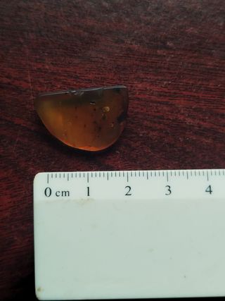 Fósil Ámbar Cretácico con mosquitos,moscas,avispas