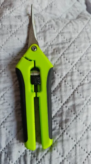 Forbici da potatura verdi