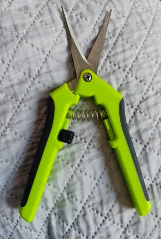 Forbici da potatura verdi