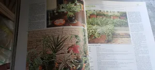Enciclopedia flores y plantas.