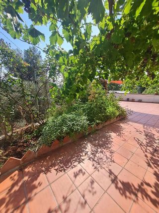 Chalet en venta en Sant Esteve Sesrovires