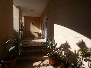 Casa en venta en Almoradí