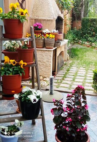 Casa adosada en venta en Villena