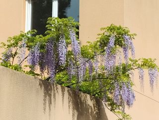 Casa adosada en venta en Villena