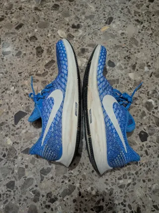 Zapatillas Nike Pegasus 35 Azules