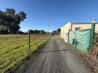 Casa rural en venta en Coronil (El)