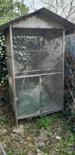 Voliera Acciaio Inox