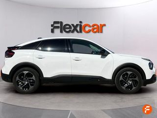 Citroën C4 BlueHDi 130 S&S EAT8 Business Edition